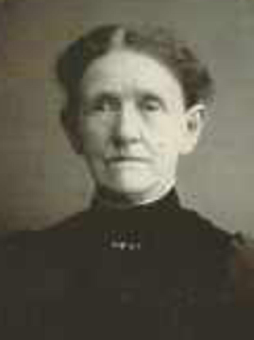 Lavina Wolstenholme (1841 - 1922) Profile